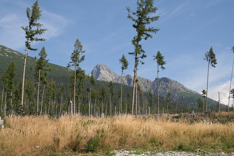 slawkowskiszczyt09.2008 011